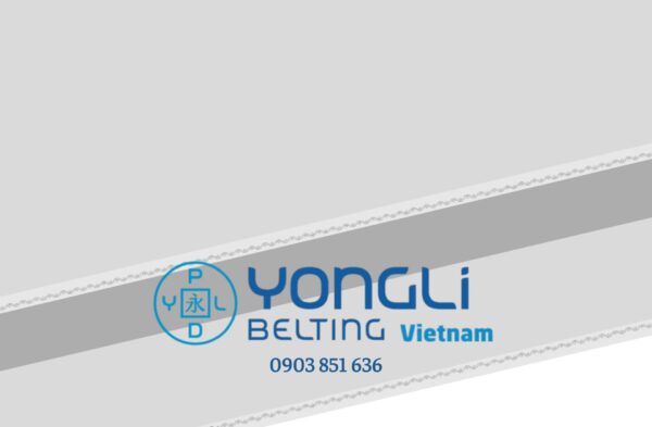 Bèo trắng 3.0mm