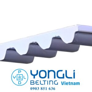 Dây curoa PU 100-STD8M